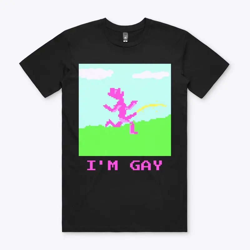 I'm Gay Shirt